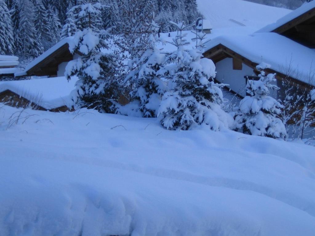 Appartement Bergblick Neustift im Stubaital Exterior photo