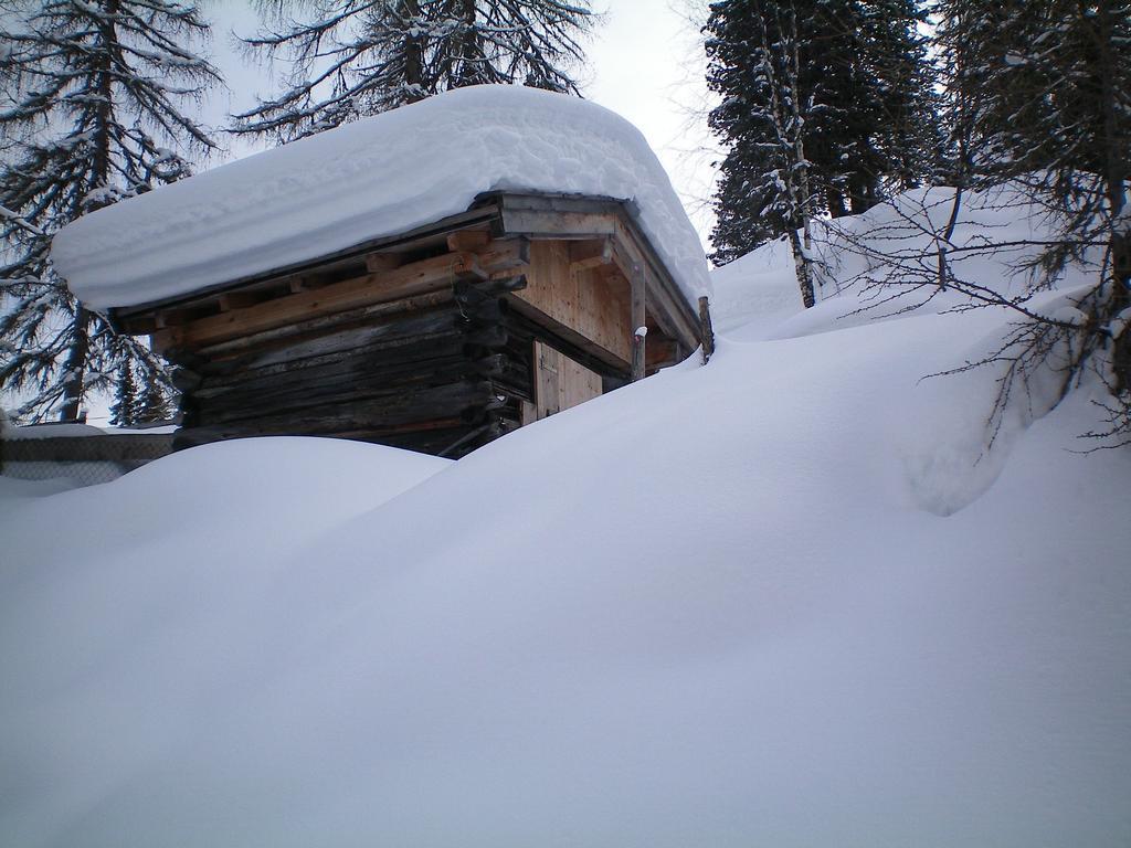 Appartement Bergblick Neustift im Stubaital Exterior photo