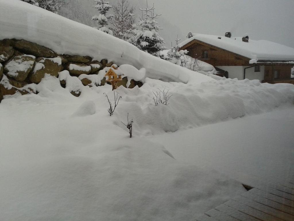 Appartement Bergblick Neustift im Stubaital Exterior photo